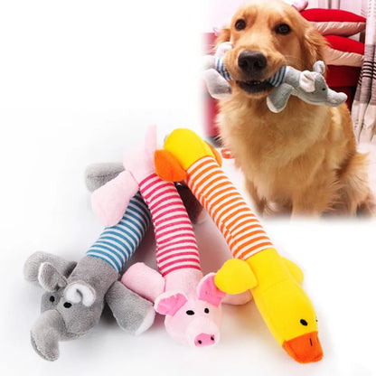Snack cadeau hond met naam – Lekker en persoonlijk