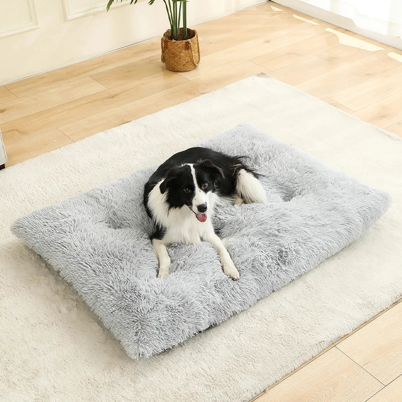 Verjaardagspakket hond – Klaar om te geven