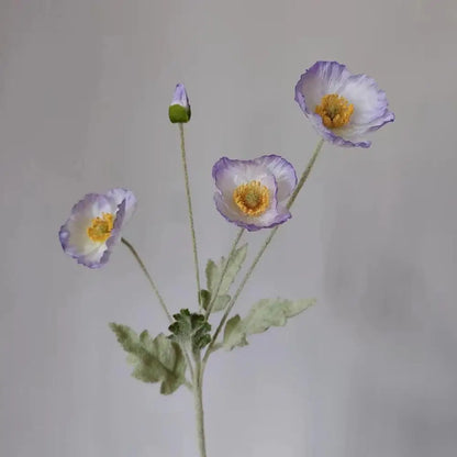 Intratuin decoratie met zachte kleuren
