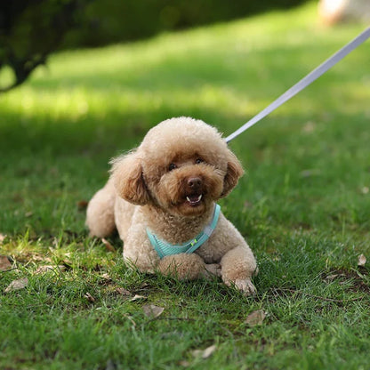 Reflecterend honden tuigje – Voor zichtbaarheid in het donker
