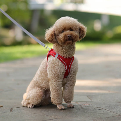 Verjaardag hond cadeaubox – Vier feest in stijl