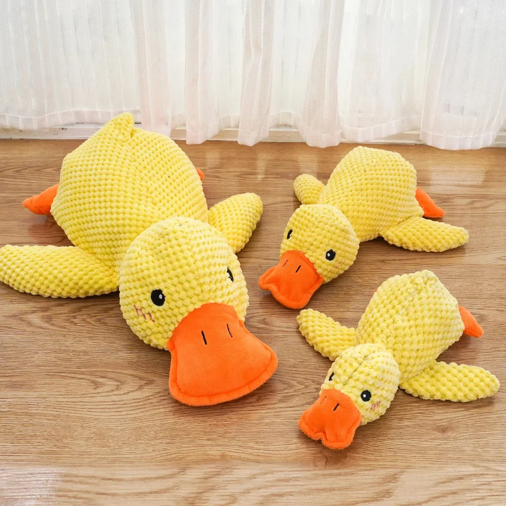Cadeau hond verjaardag DIY – Creatief en leuk