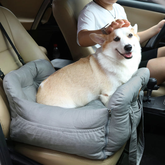 Cadeau voor hond en mens – Duo plezier