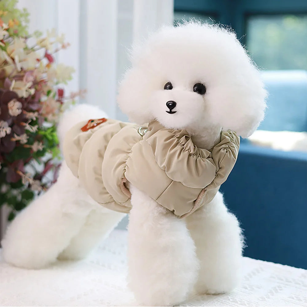 Cadeautje hond met kluif – Klassieker voor de feestdag