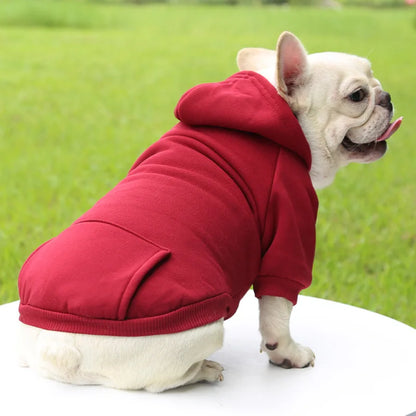 Vrolijk cadeau voor hond – Een feestje in een doos