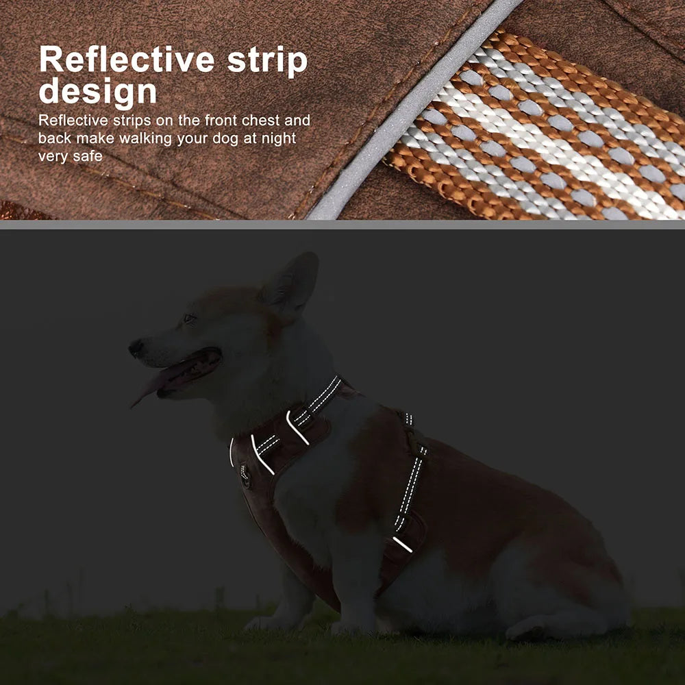 Tuigje hond met reflecterende stiksels – Extra veiligheid