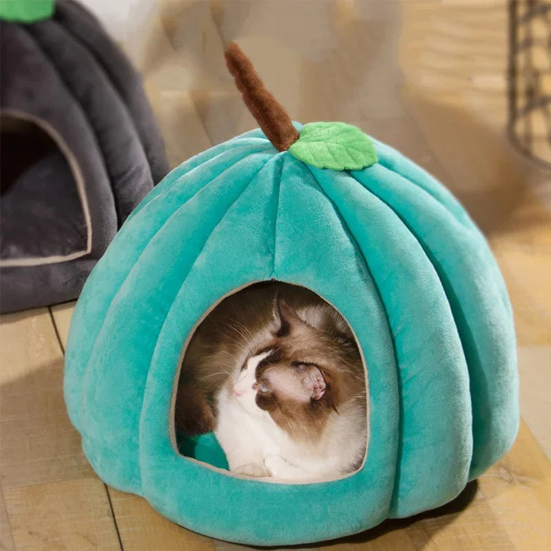 Grote kattenmand van Action – Betaalbare XXL comfort