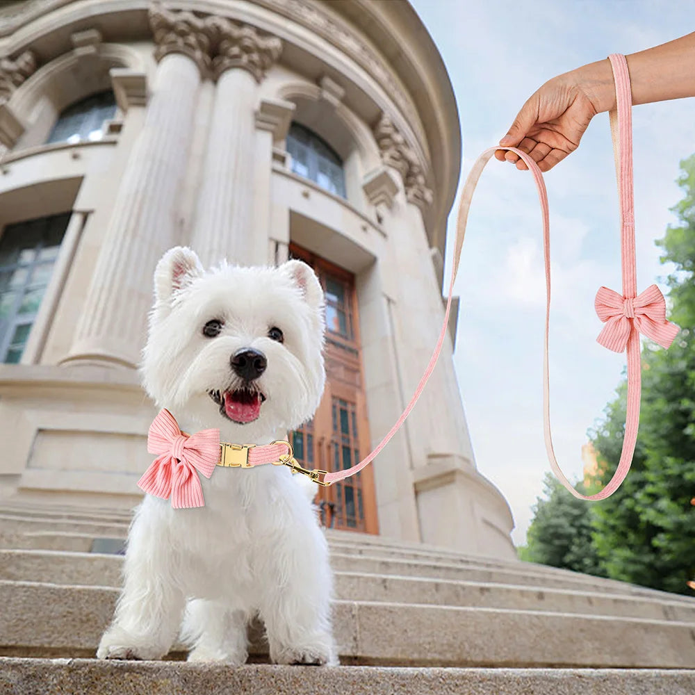Tuigje hond Action met verstelbare buikband – Voor elke hond