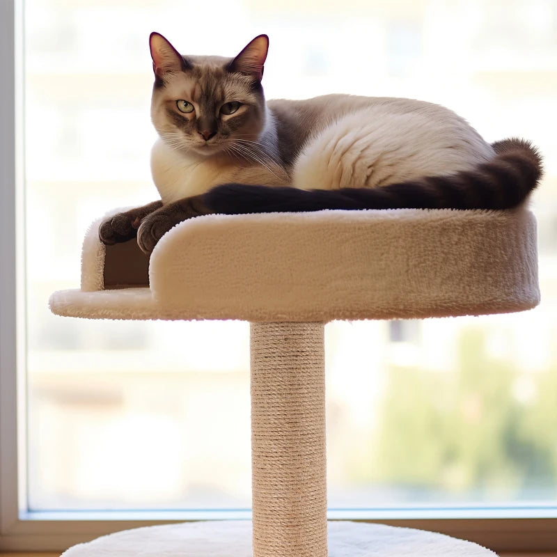 Krabpaal design – Moderne stijl voor elk interieur