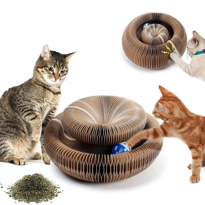 Design kattenmeubel met krabvlak – Functioneel kunstwerk