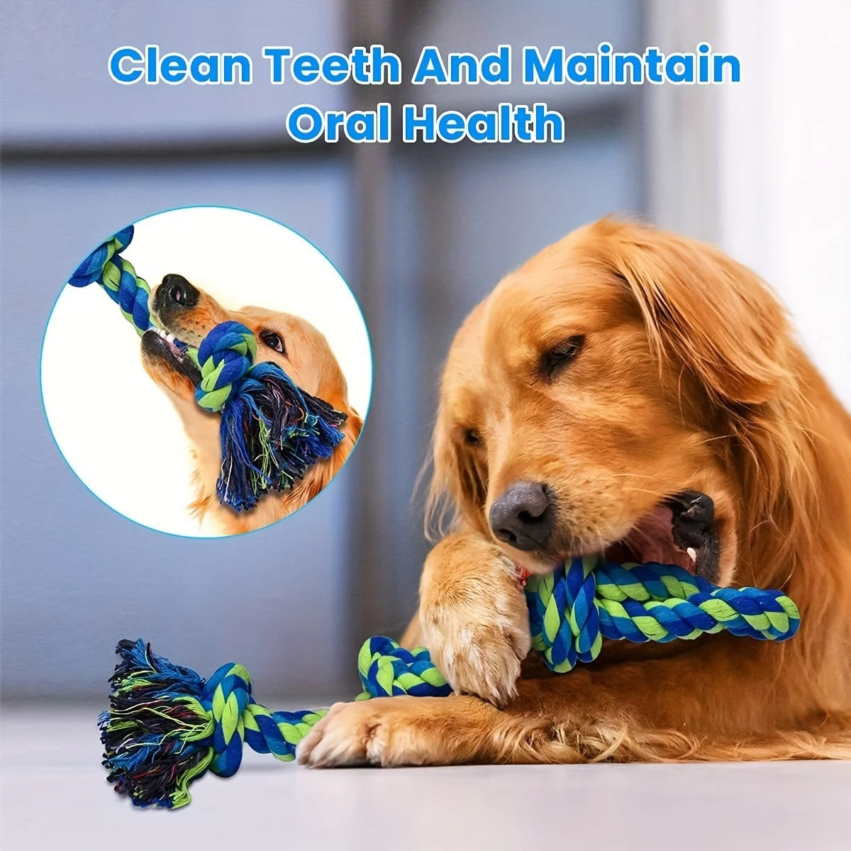 Speelgoed cadeau voor hond – Actief en leuk