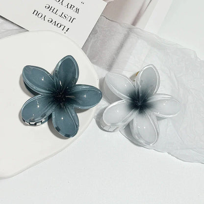 Haaraccessoires dames in pastelkleuren