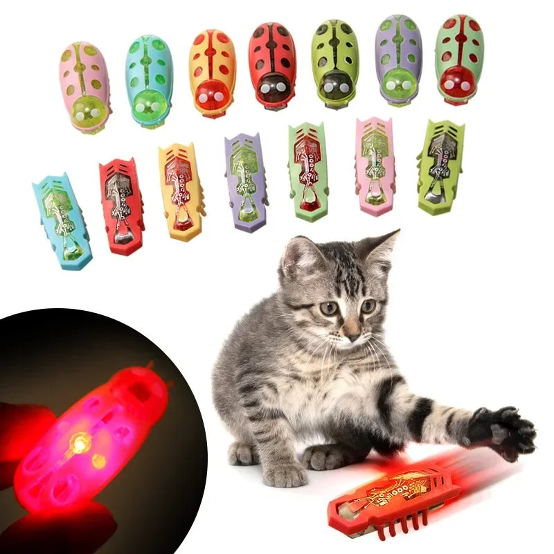 Speelvis met catnip – Onweerstaanbaar