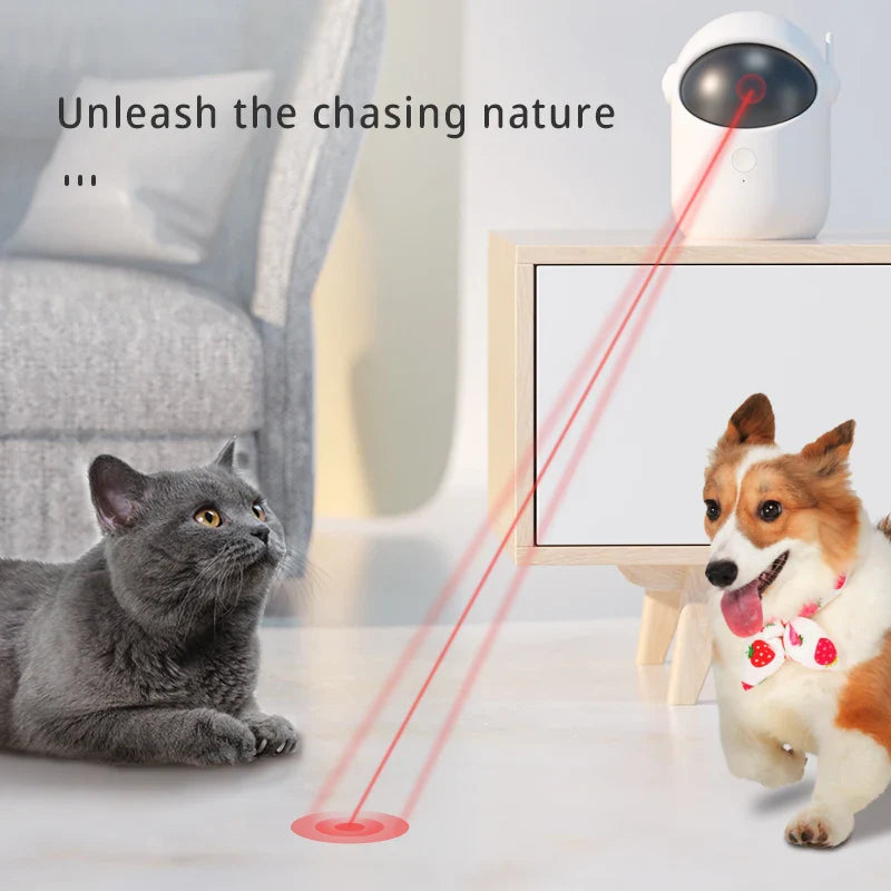 Kattenspeeltje met ophangsysteem – Beweegt vanzelf
