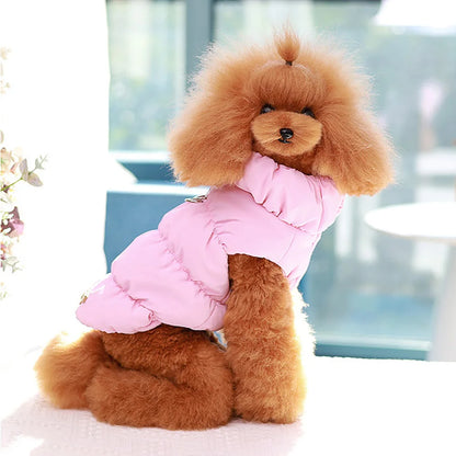 Cadeau hond feestpakket – Voor een echte party animal