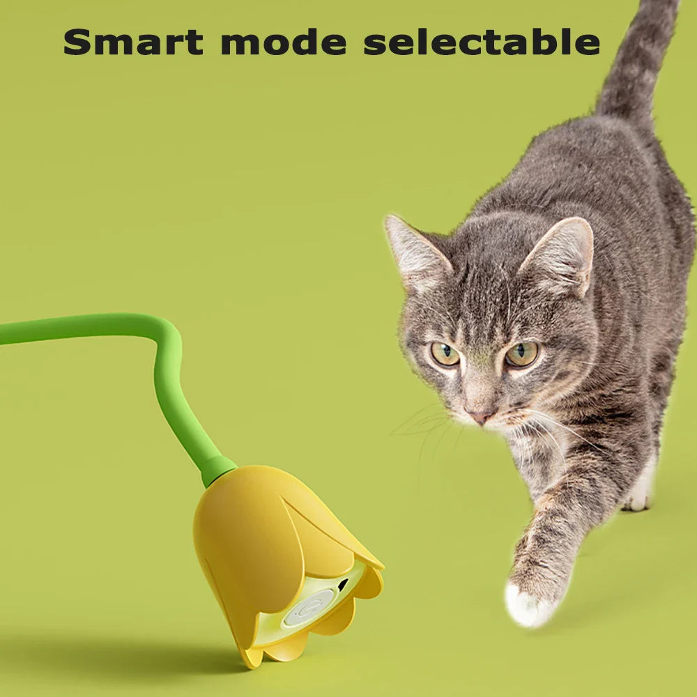 Speelmuis met geluid – Katten zijn er dol op