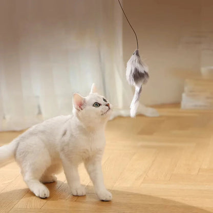 Katten speeltjes Action voordeelverpakking – Meer voor minder