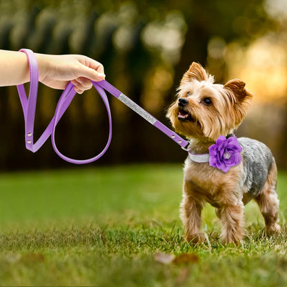 Action honden tuigje – Lichtgewicht en voordelig