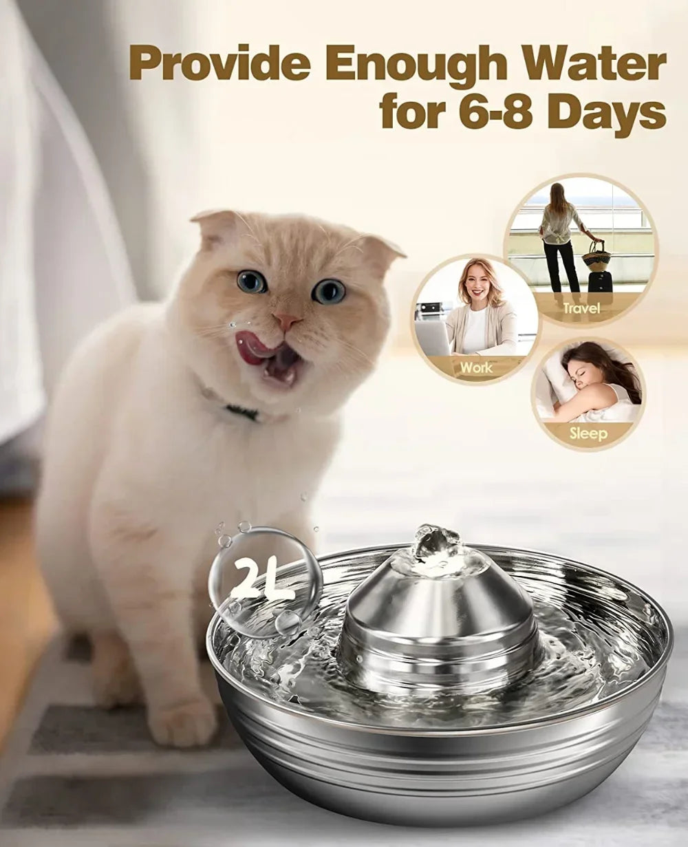 Fontein voor katten – Bevordert waterinname