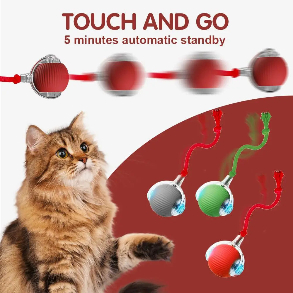 Leukste kattenspeeltjes – Favoriet bij elke kat