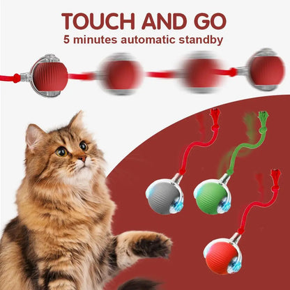 Leukste kattenspeeltjes – Favoriet bij elke kat