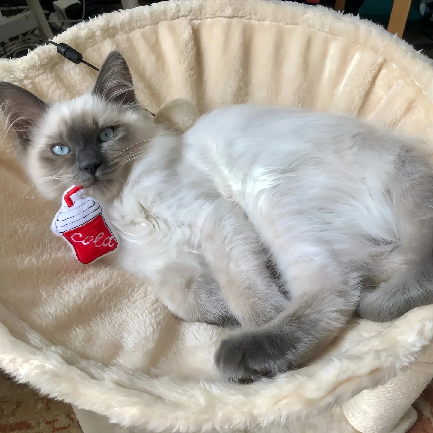 Katten speeltjes met ophangsysteem – Blijft interessant