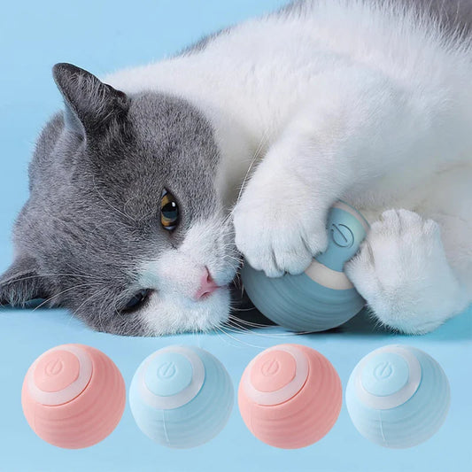Kattenspeeltjes met veren en balletjes – Multifun