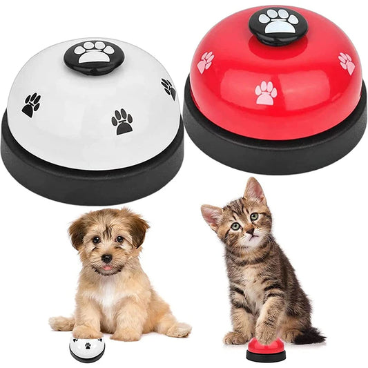 Puppy cadeau verjaardag – Veilig en vrolijk