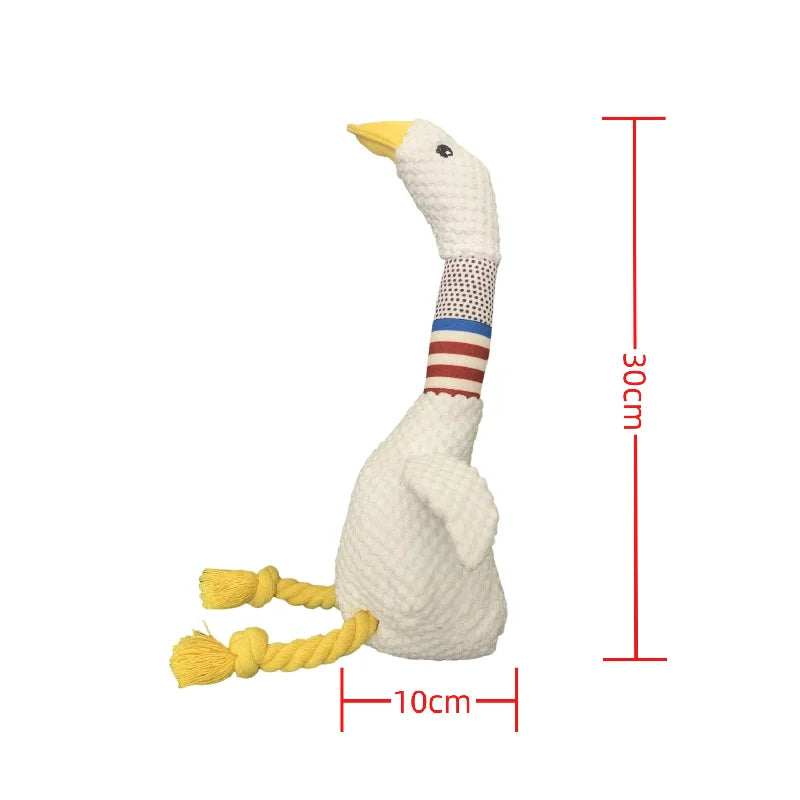 Kattenspeeltjes met elastiek – Bewegend plezier