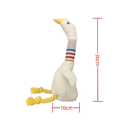Kattenspeeltjes met elastiek – Bewegend plezier