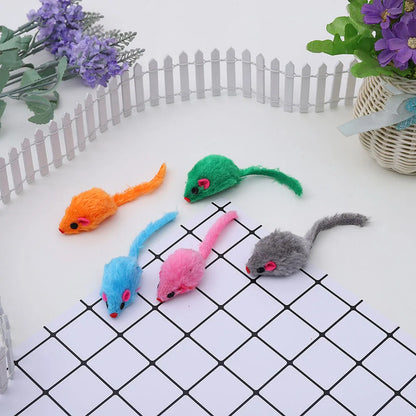 Action katten speeltjes set – Vol variatie