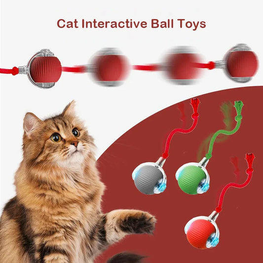 Kattenspeelgoed met kraboppervlak – Dubbel functioneel