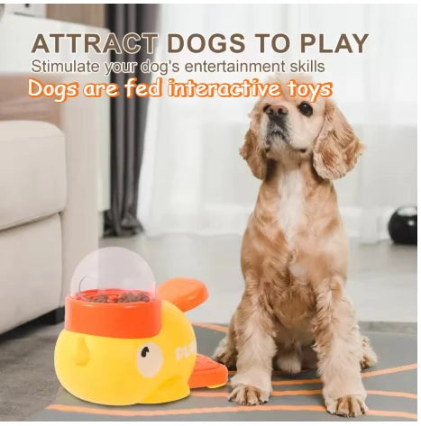 Cadeautip hond – Iets leuks voor elke pup