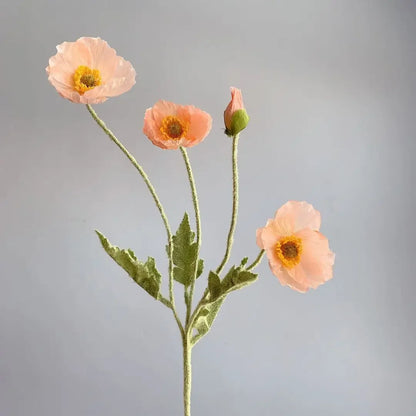 Plantenrekje als groene tuindecoratie