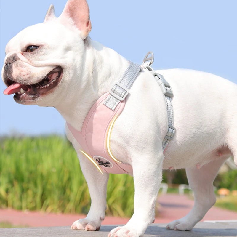 Honden tuigje met vier bevestigingspunten – Super stabiel