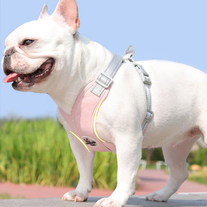 Honden tuigje met vier bevestigingspunten – Super stabiel
