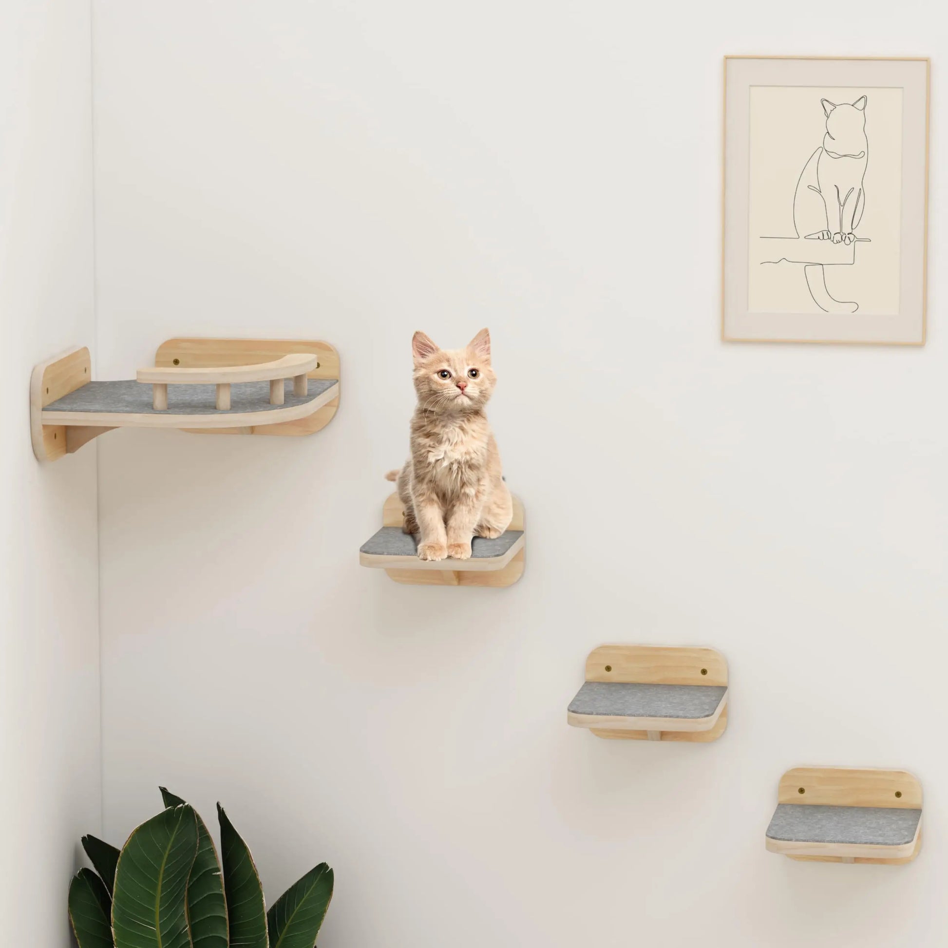 Kattenpaal – Perfect om je kat actief te houden