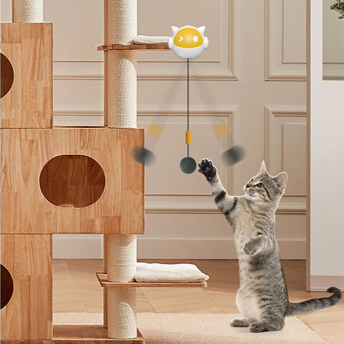 Katten speeltjes set – Alles in één pakket