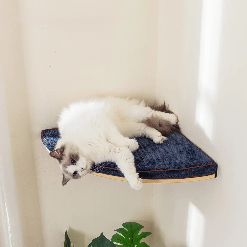 Design krabmeubel voor katten – Luxe voor kat én interieur