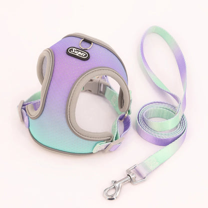 Luxe honden tuigje – Comfort en stijl gecombineerd