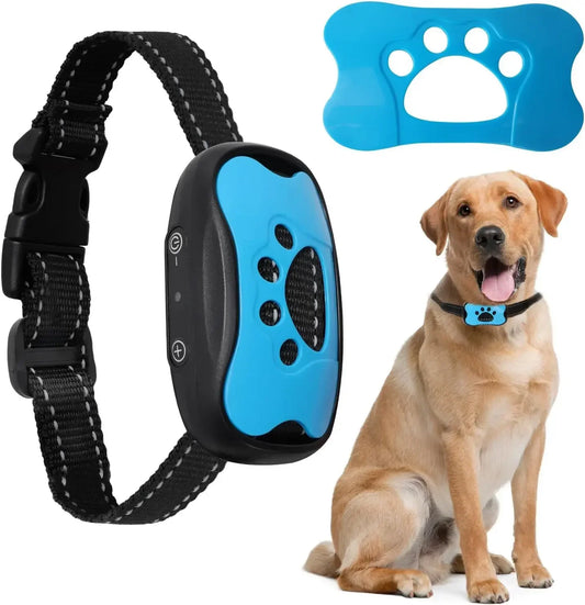 Verjaardagsbox hond – Snoep, speelgoed en liefde