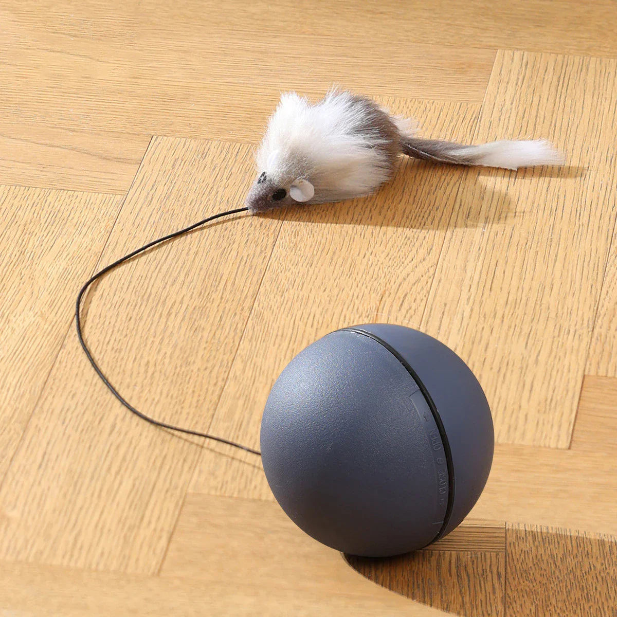 Kattenspeeltjes – Voor uren speelplezier