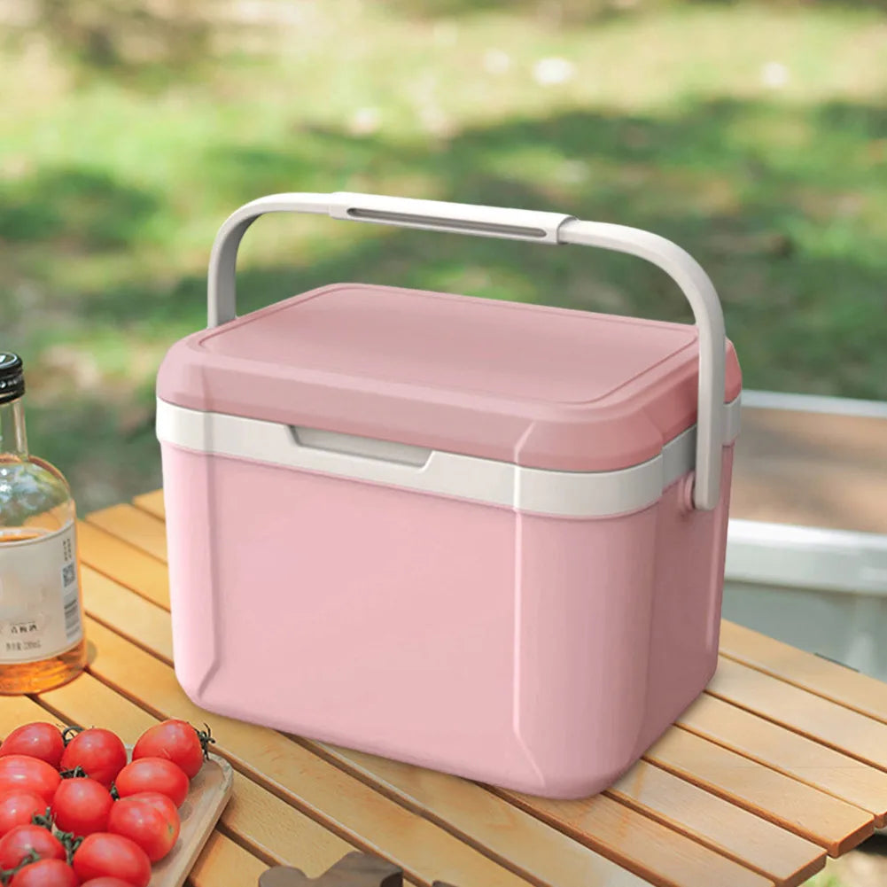 Lidl koelbox met stevig hengsel