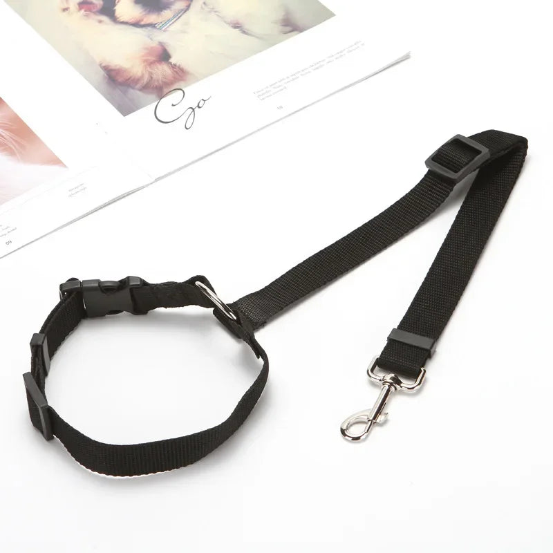 Tuigje Action maat S – Voor kleine rassen en puppy's