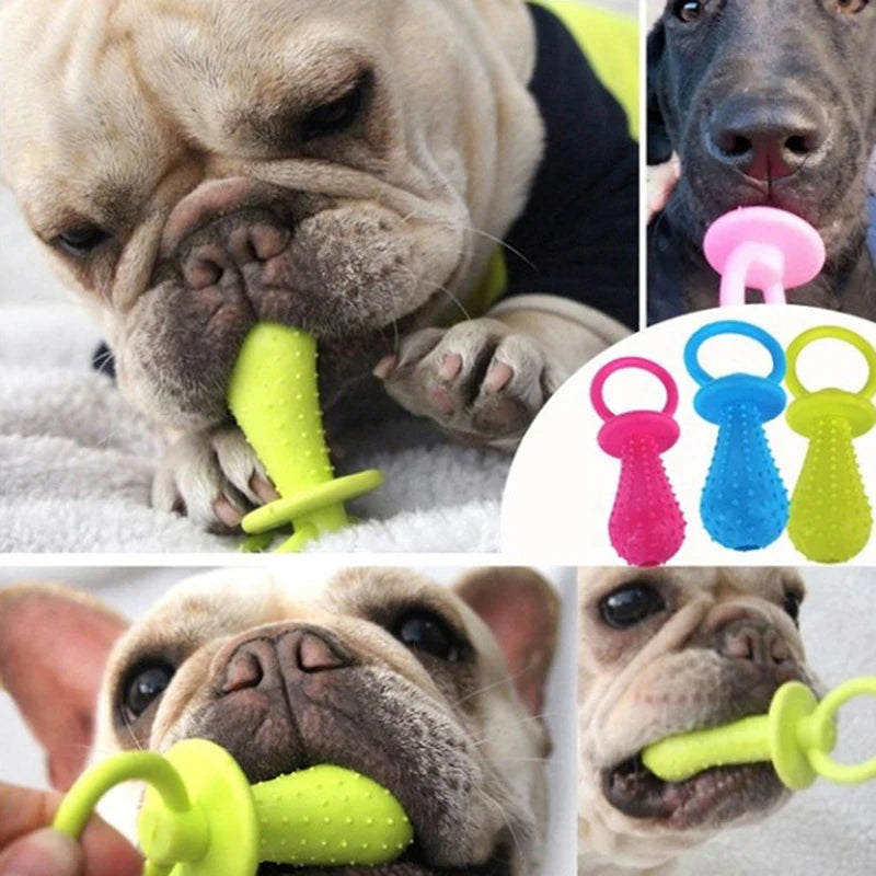 Origineel cadeau hond verjaardag – Creatief en uniek