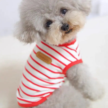 Cadeaupakket hond met knuffel – Lief en zacht
