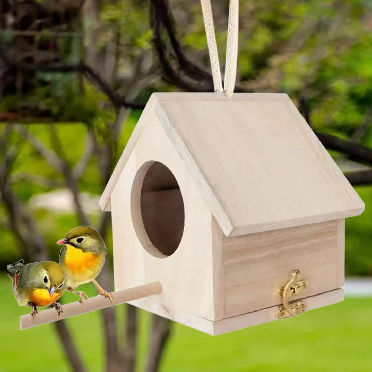 Xenos vogelhuisje met verf – Creatief en vrolijk
