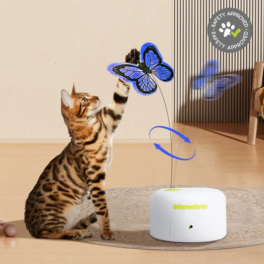 Leukste kattenspeeltjes met lichtgevende effecten – Voor nachtkatten