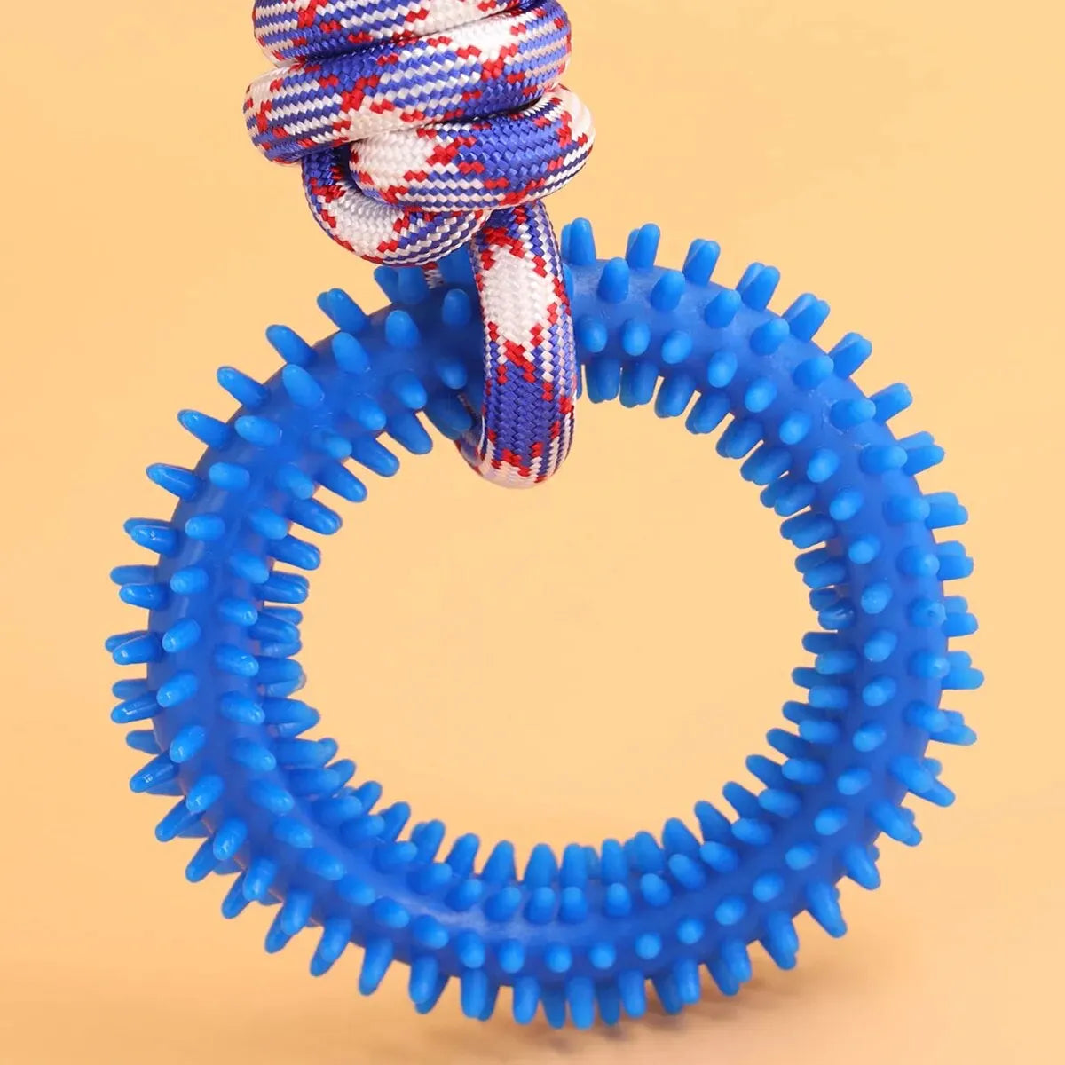 Cadeau hond met verjaardagshoed – Klaar voor het feestje