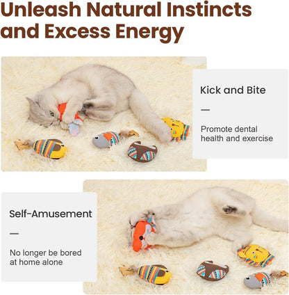 Action katten speeltjes set – Vol variatie